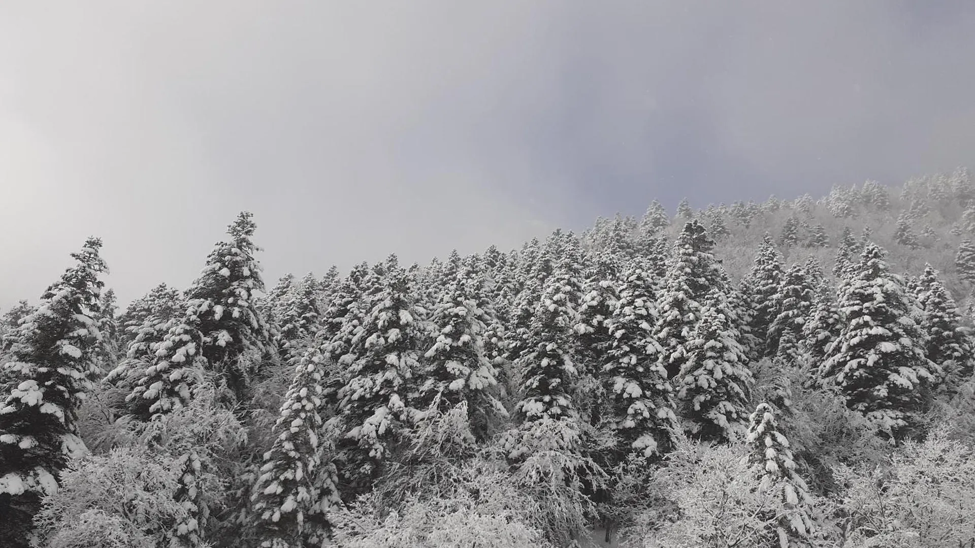 Lejlighed Le Duplex De Dana, Gresse En Vercors, Alpes Du Nord, Classement 3 Etoiles Par Atout France